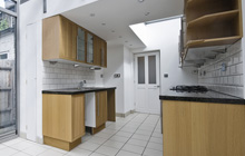 Blackawton kitchen extension leads